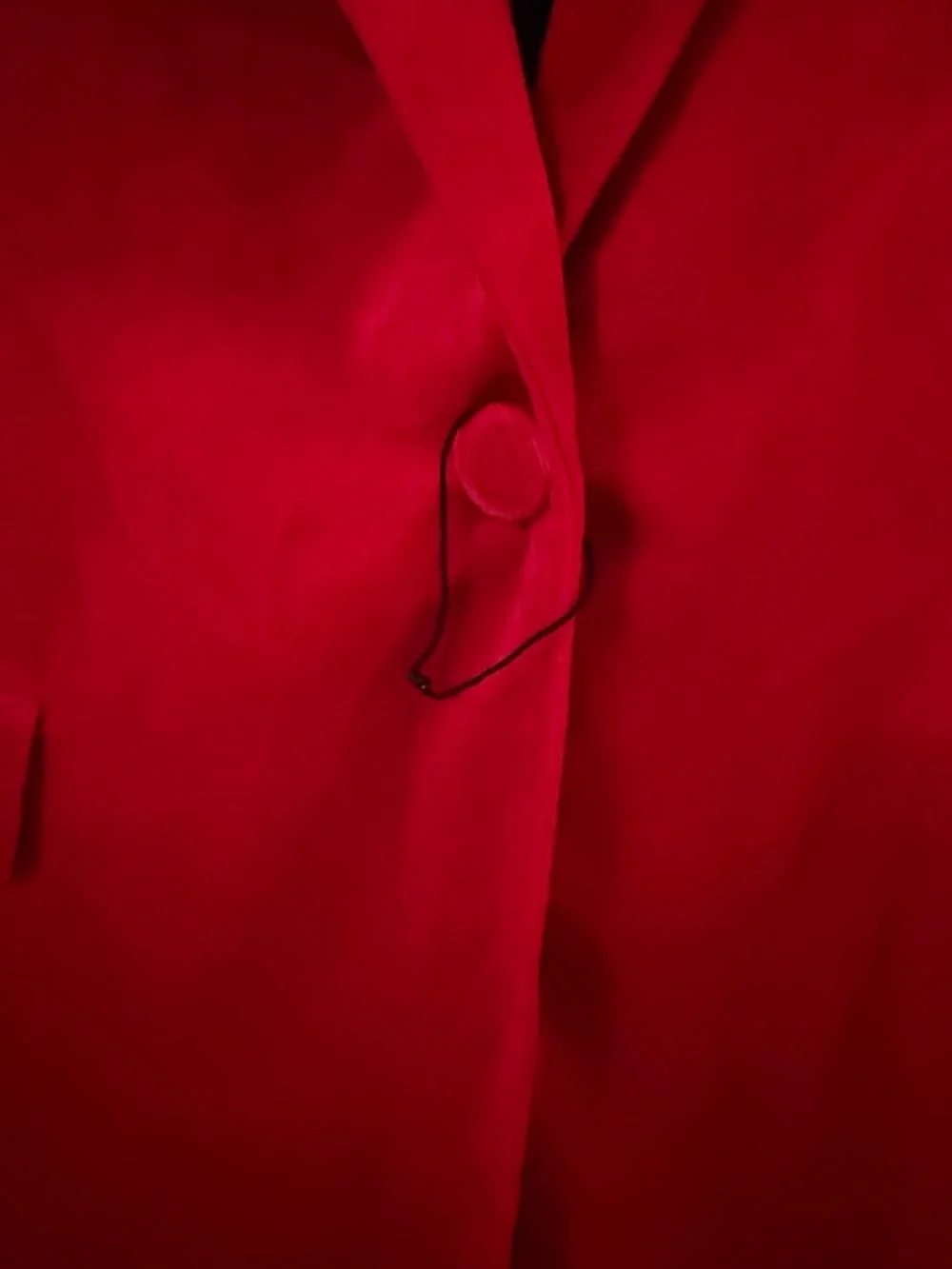 Zara Red Velvet Single-Button Tailored Blazer, NWOT, Sz M - Picture 7 of 8